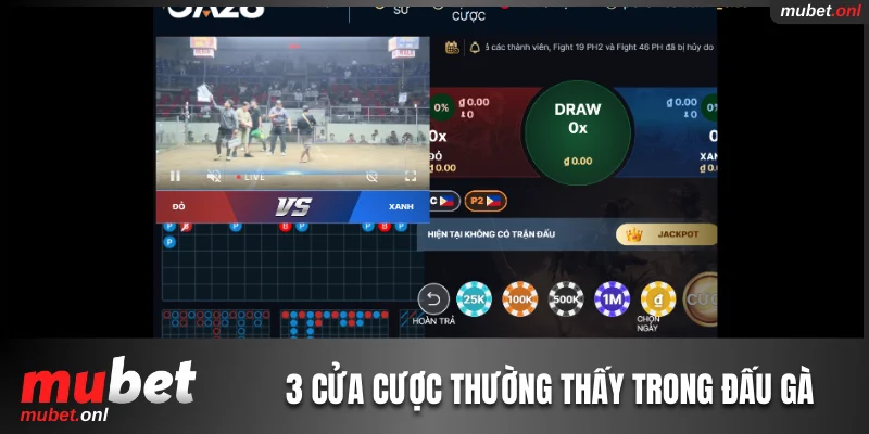 3 cửa cược thường thấy trong đấu gà