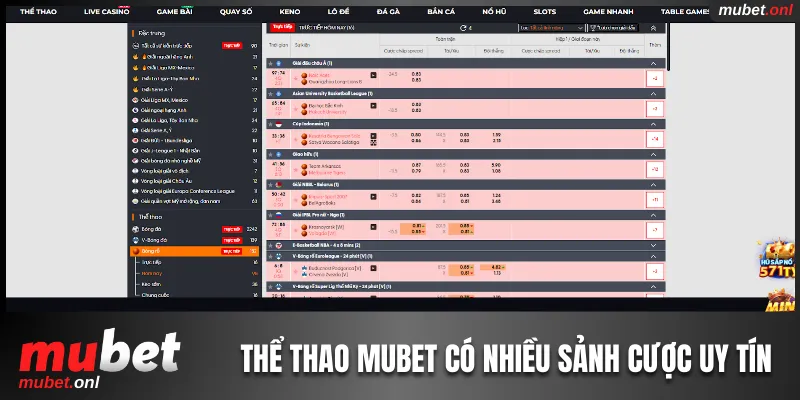 Thể thao Mubet cung cấp nhiều sảnh cá cược uy tín và đẳng cấp